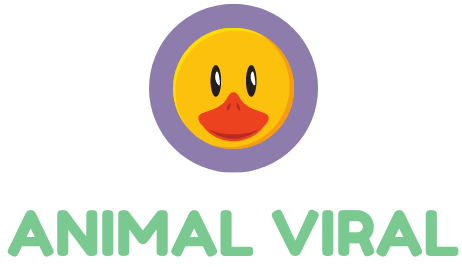 Animal Viral